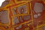 Polished Noreena Jasper Slab - Australia #314237-1